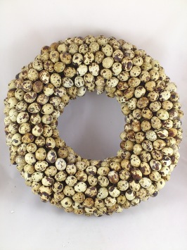 Oeuf de caille 60 p.